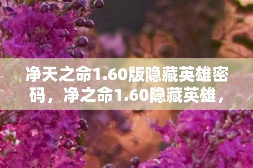 净天之命1.60版隐藏英雄密码，净之命1.60隐藏英雄，解锁未知力量的神秘之旅