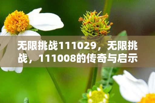 无限挑战111029，无限挑战，111008的传奇与启示