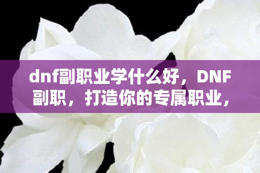 dnf副职业学什么好，DNF副职，打造你的专属职业，探索无限可能