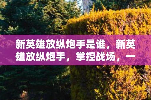 新英雄放纵炮手是谁，新英雄放纵炮手，掌控战场，一炮而红的战术大师