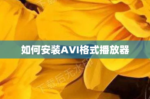 如何安装AVI格式播放器图片