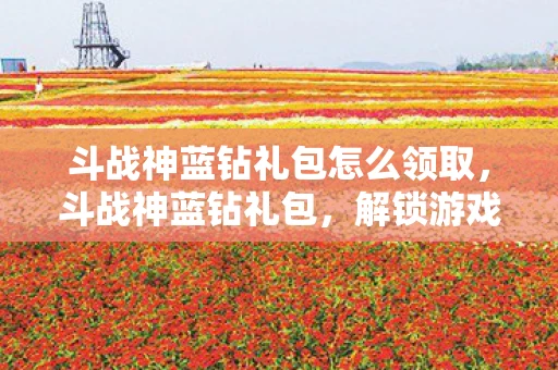 斗战神蓝钻礼包怎么领取，斗战神蓝钻礼包，解锁游戏新世界的钥匙