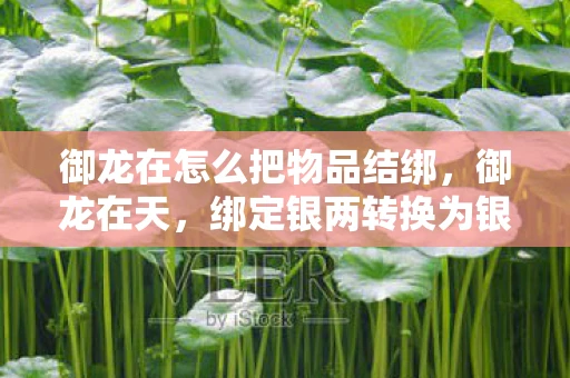 御龙在怎么把物品结绑，御龙在天，绑定银两转换为银子的实用攻略