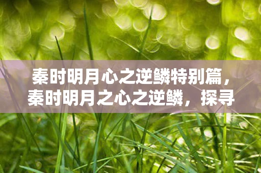 秦时明月心之逆鳞特别篇，秦时明月之心之逆鳞，探寻古老传说中的神秘力量