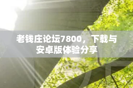 下载与安卓版体验分享图片