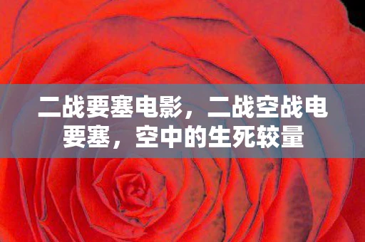 二战要塞电影，二战空战电要塞，空中的生死较量