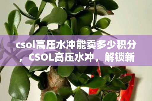 csol高压水冲能卖多少积分，CSOL高压水冲，解锁新战术，挑战极限！