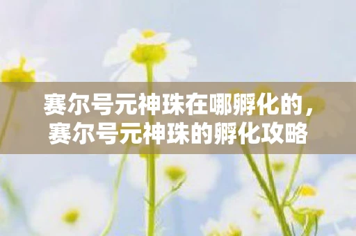 赛尔号元神珠在哪孵化的，赛尔号元神珠的孵化攻略