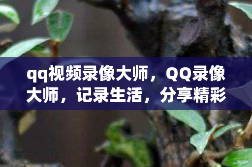 qq视频录像大师，QQ录像大师，记录生活，分享精彩的视频创作工具