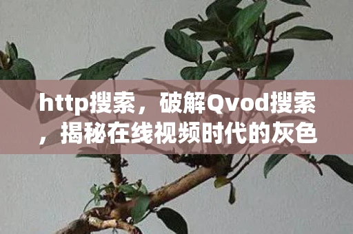 http搜索，破解Qvod搜索，揭秘在线视频时代的灰色地带