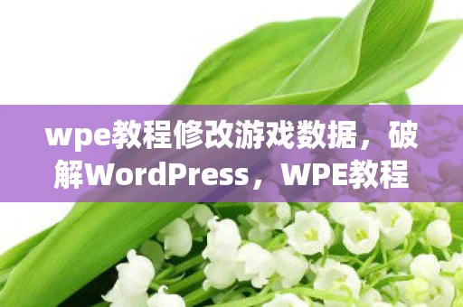 wpe教程修改游戏数据，破解WordPress，WPE教程详解