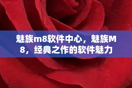 魅族m8软件中心，魅族M8，经典之作的软件魅力