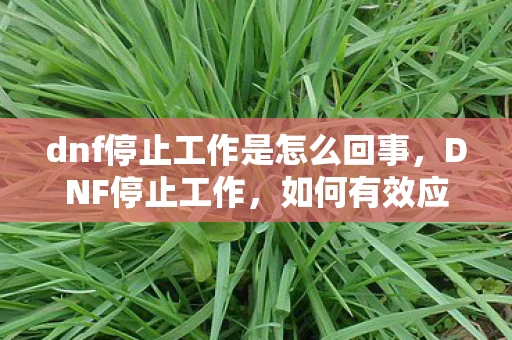 dnf停止工作是怎么回事，DNF停止工作，如何有效应对游戏崩溃问题