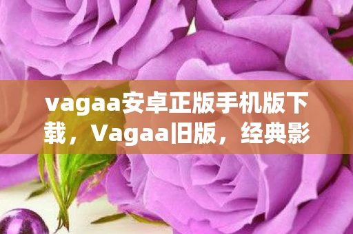 vagaa安卓正版手机版下载，Vagaa旧版，经典影视资源站的回忆与现状