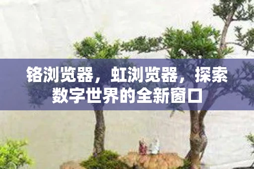铬浏览器，虹浏览器，探索数字世界的全新窗口
