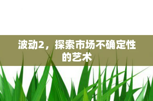 波动2，探索市场不确定性的艺术
