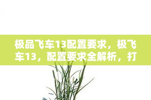 极品飞车13配置要求，极飞车13，配置要求全解析，打造流畅游戏体验