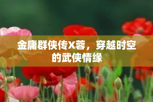 金庸群侠传X蓉，穿越时空的武侠情缘