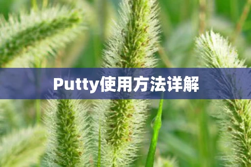 Putty使用方法详解图片