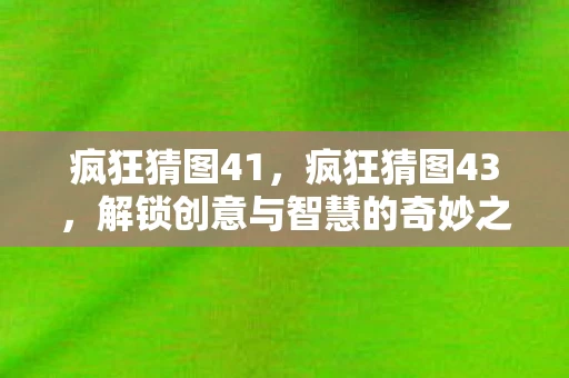 疯狂猜图41，疯狂猜图43，解锁创意与智慧的奇妙之旅