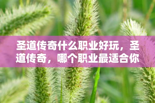 圣道传奇什么职业好玩，圣道传奇，哪个职业最适合你？