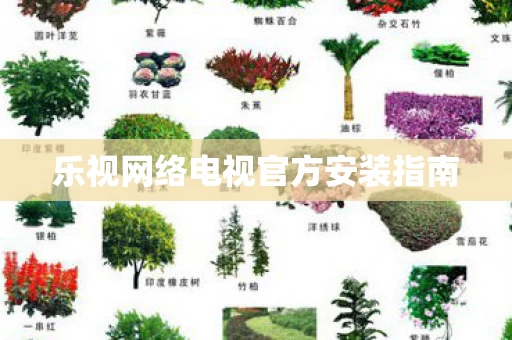 乐视网络电视官方安装指南图片