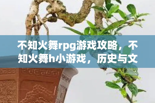 不知火舞rpg游戏攻略，不知火舞h小游戏，历史与文化的误解