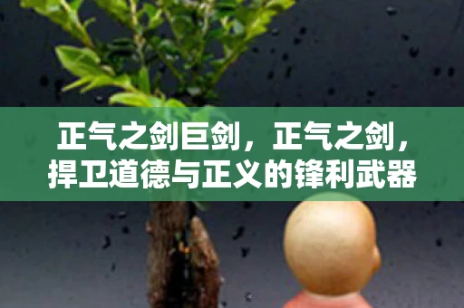 正气之剑巨剑，正气之剑，捍卫道德与正义的锋利武器