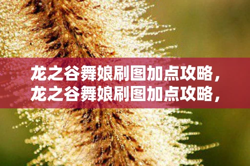 龙之谷舞娘刷图加点攻略，龙之谷舞娘刷图加点攻略，打造高效战斗力的关键