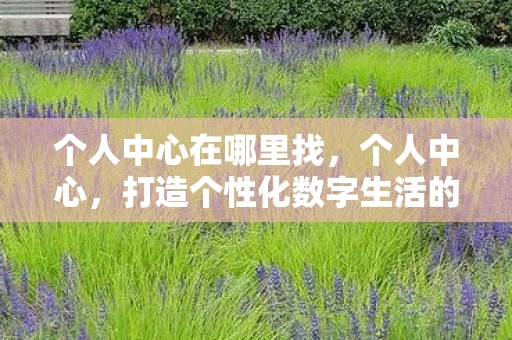 个人中心在哪里找,个人中心,打造个性化数字生活的核心 个人中心在哪里找,个人中心,打造个性化数字生活的核心