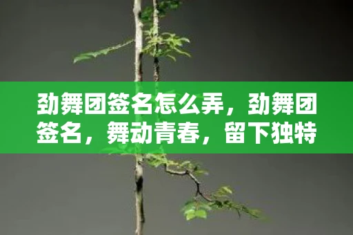劲舞团签名怎么弄，劲舞团签名，舞动青春，留下独特印记
