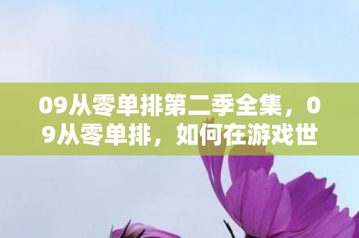 09从零单排第二季全集，09从零单排，如何在游戏世界中从零开始单排上分的攻略