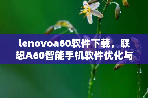 lenovoa60软件下载，联想A60智能手机软件优化与升级指南