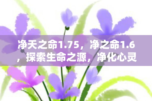 净天之命1.75，净之命1.6，探索生命之源，净化心灵之旅