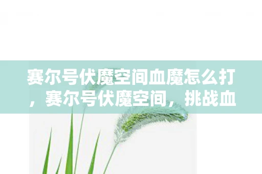 赛尔号伏魔空间血魔怎么打，赛尔号伏魔空间，挑战血魔的传奇之旅