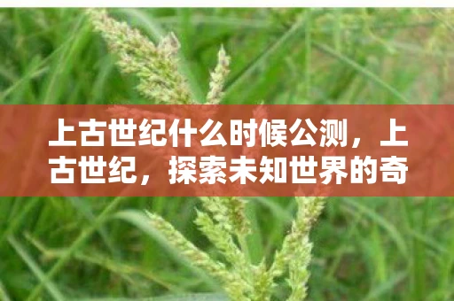 上古世纪什么时候公测，上古世纪，探索未知世界的奇妙之旅