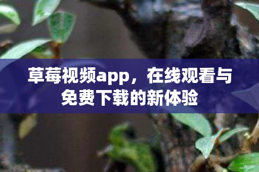 在线观看与免费下载的新体验图片
