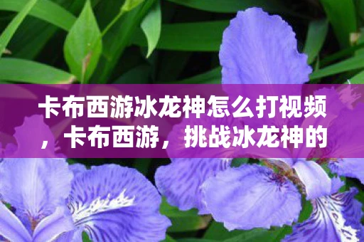 卡布西游冰龙神怎么打视频,卡布西游,挑战冰龙神的攻略指南 卡布西游冰龙神怎么打视频,卡布西游,挑战冰龙神的攻略指南