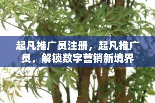 起凡推广员注册,起凡推广员,解锁数字营销新境界 起凡推广员注册,起凡推广员,解锁数字营销新境界