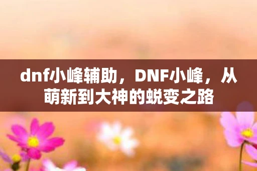 dnf小峰辅助，DNF小峰，从萌新到大神的蜕变之路