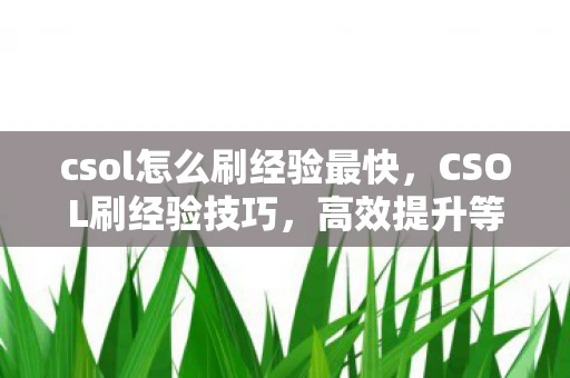 csol怎么刷经验最快，CSOL刷经验技巧，高效提升等级与装备