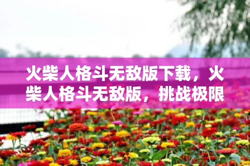 火柴人格斗无敌版下载，火柴人格斗无敌版，挑战极限，解锁无限可能