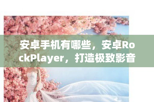 安卓手机有哪些，安卓RockPlayer，打造极致影音体验