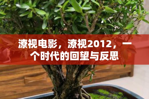 潦视电影,潦视2012,一个时代的回望与反思 潦视电影,潦视2012,一个时代的回望与反思
