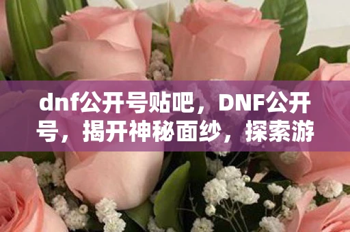 dnf公开号贴吧，DNF公开号，揭开神秘面纱，探索游戏背后的故事