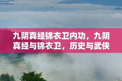 九阴真经锦衣卫内功,九阴真经与锦衣卫,历史与武侠的交汇 九阴真经锦衣卫内功,九阴真经与锦衣卫,历史与武侠的交汇