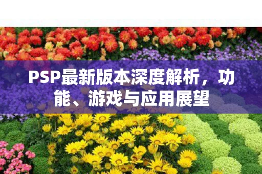 PSP最新版本深度解析图片