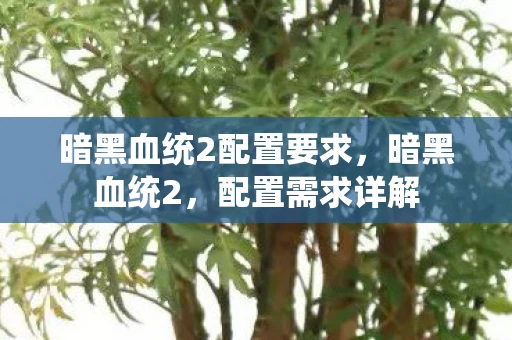 暗黑血统2配置要求,暗黑血统2,配置需求详解 暗黑血统2配置要求,暗黑血统2,配置需求详解