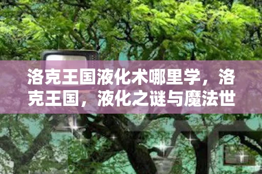 洛克王国液化术哪里学,洛克王国,液化之谜与魔法世界的奥秘 洛克王国液化术哪里学,洛克王国,液化之谜与魔法世界的奥秘