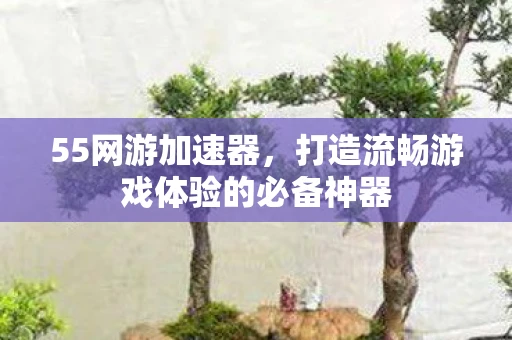 55网游加速器，打造流畅游戏体验的必备神器